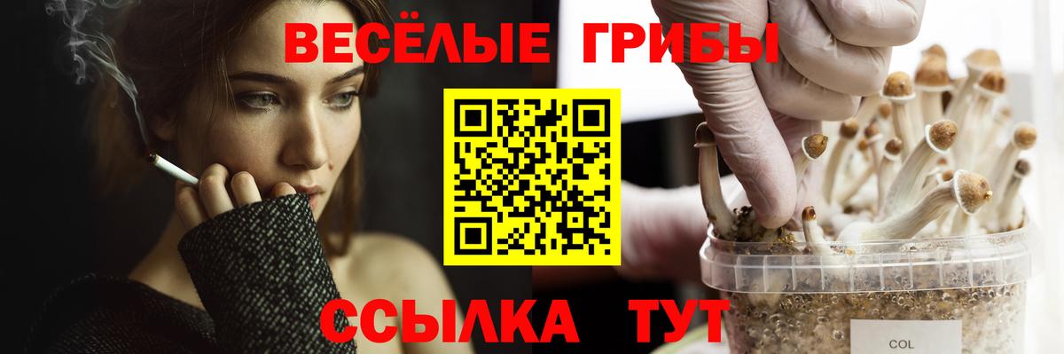 Галлюциногенные грибы прущие грибы  Галлюциногенные грибы прущие грибы  Чебоксары  Вход с VPN 